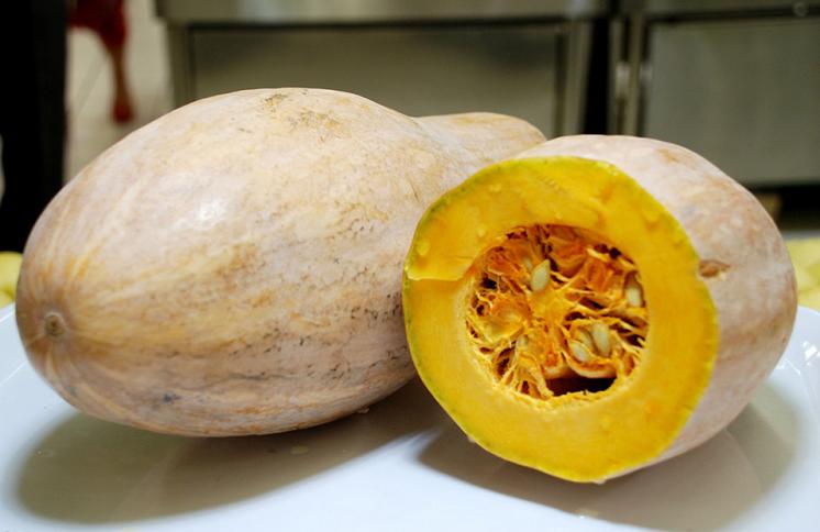 南瓜 中药 中医百科