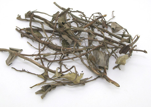 耐冬 中药 中医百科