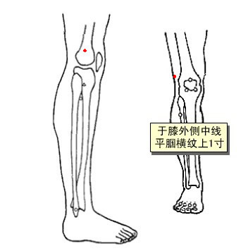 关仪 