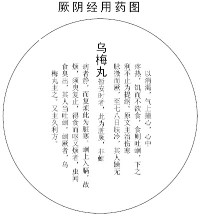 厥阴经用药图