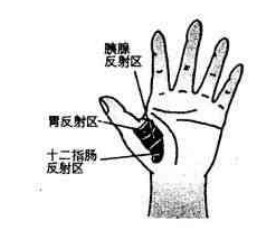 十二指肠反射区 