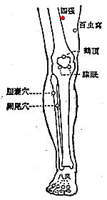 四强2