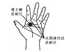 头颈淋巴结反射区