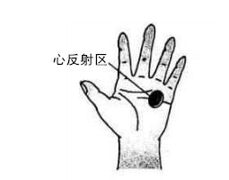 心反射区