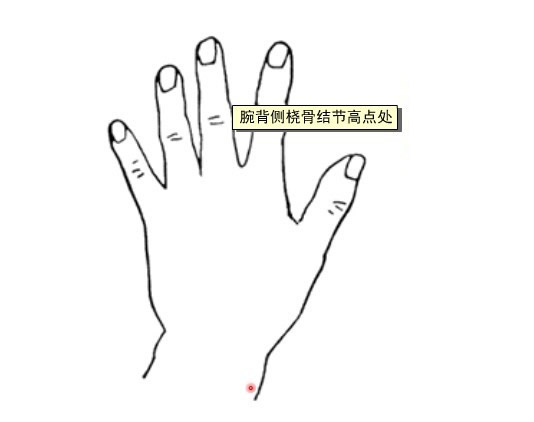 手踝穴