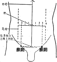 泉阴