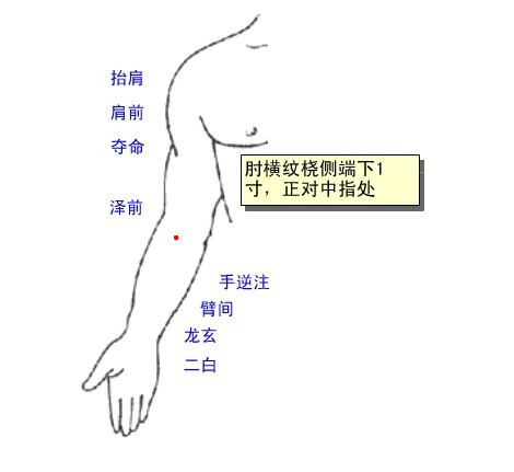 泽前