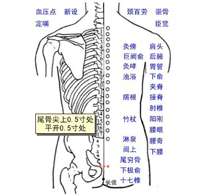 淋泉