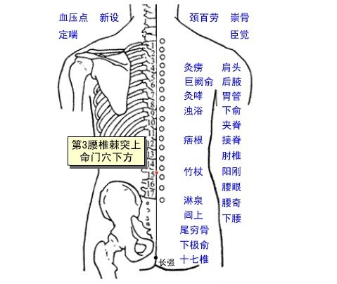 竹杖