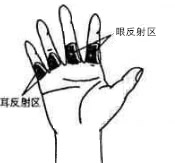 耳反射区