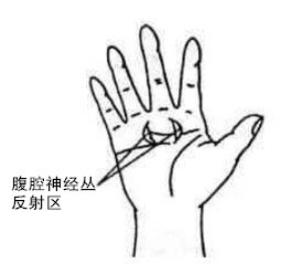 腹腔神经丛反射区 