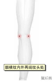 膝旁