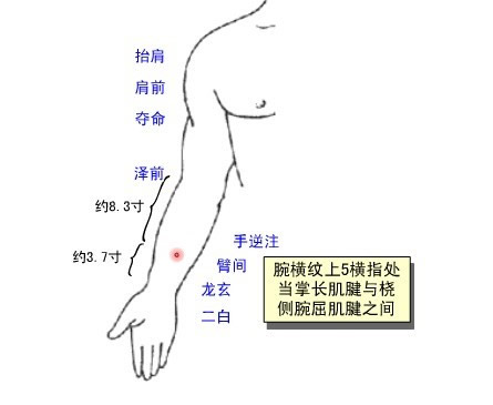 臂间