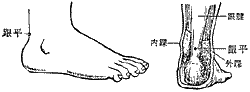 跟平 