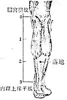 跟紧