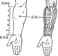郄上