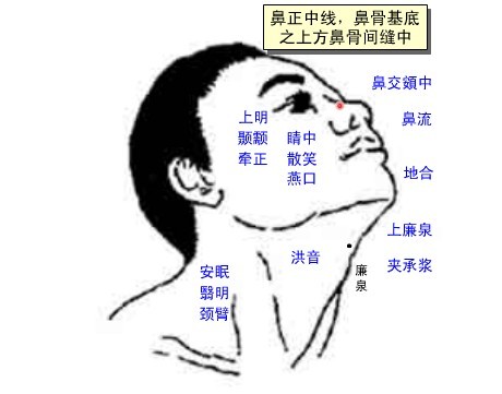 鼻交頞中穴