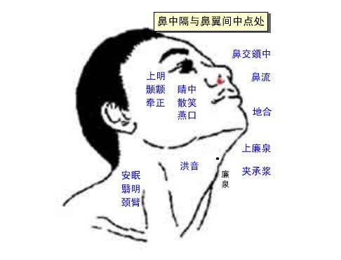鼻流